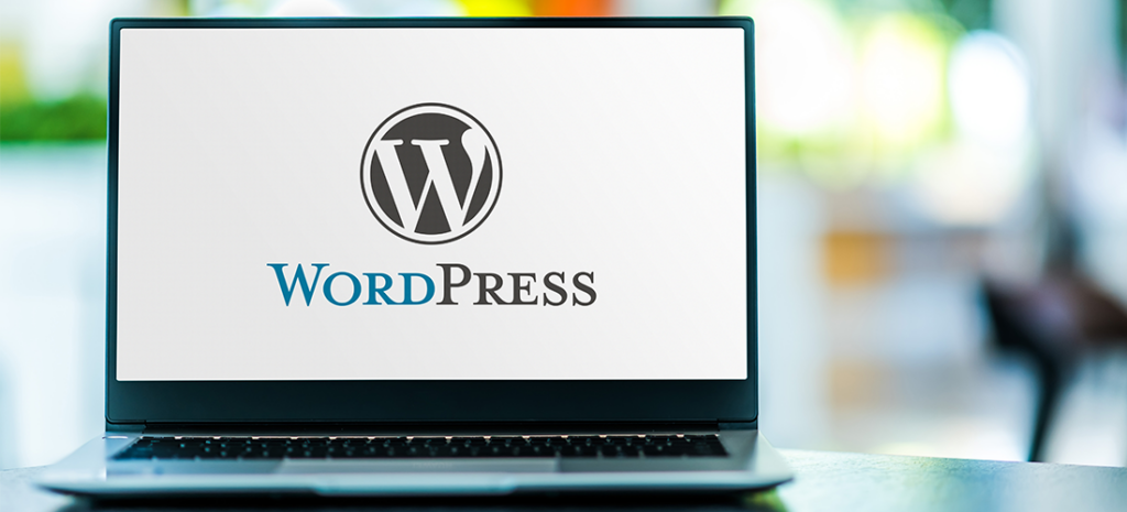 30 Formas Infalíveis de Ganhar Dinheiro Com WordPress